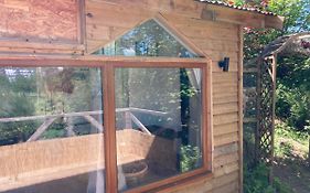 Honey Bee Cabin