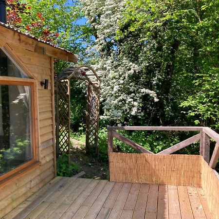Honey Bee Cabin Llandysul Exterior photo
