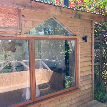 Honey Bee Cabin Llandysul Exterior photo