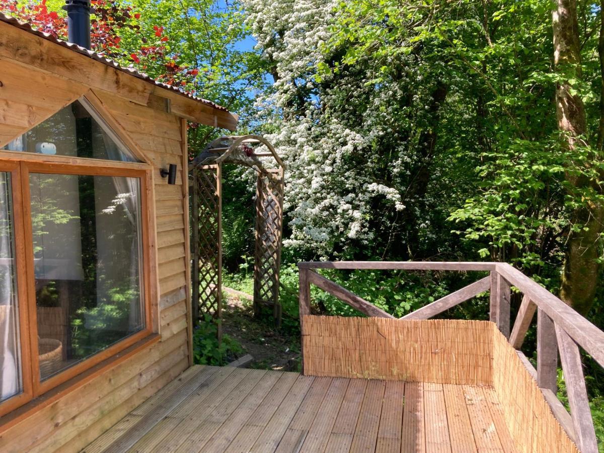 Honey Bee Cabin Llandysul Exterior photo